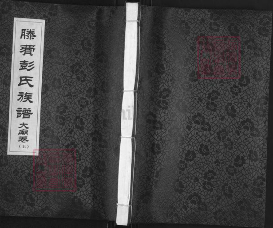 山东省枣庄市滕州市滕州彭氏族谱-滕费彭氏族谱.大庙卷.pdf电子版插图 山东省枣庄市滕州市滕州彭氏族谱-滕费彭氏族谱.大庙卷.pdf电子版插图