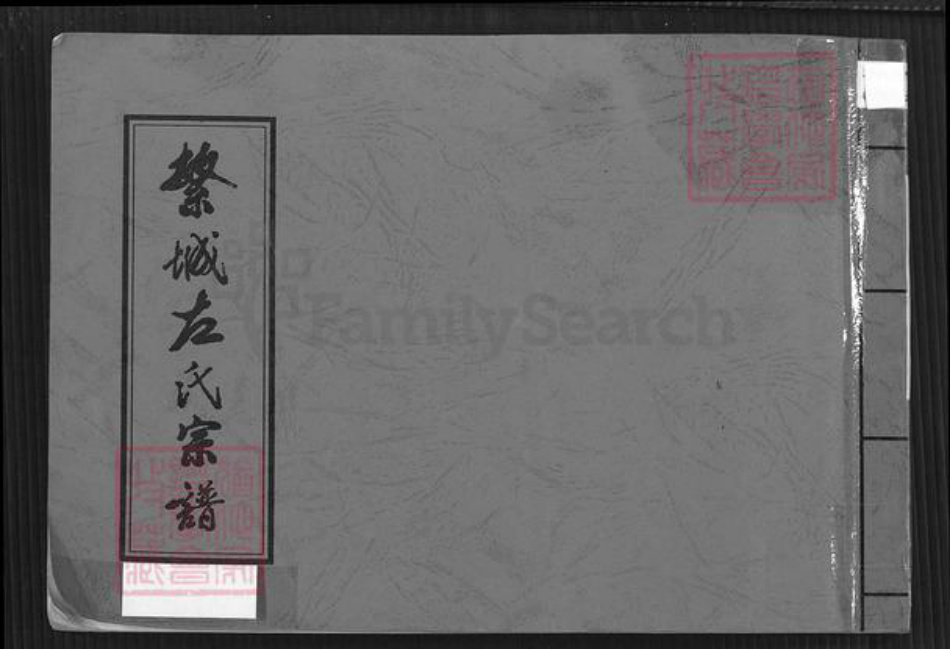 山西省忻州市繁峙县繁城镇河南省漯河市临颍县左氏族谱-繁城左氏宗谱.pdf电子版