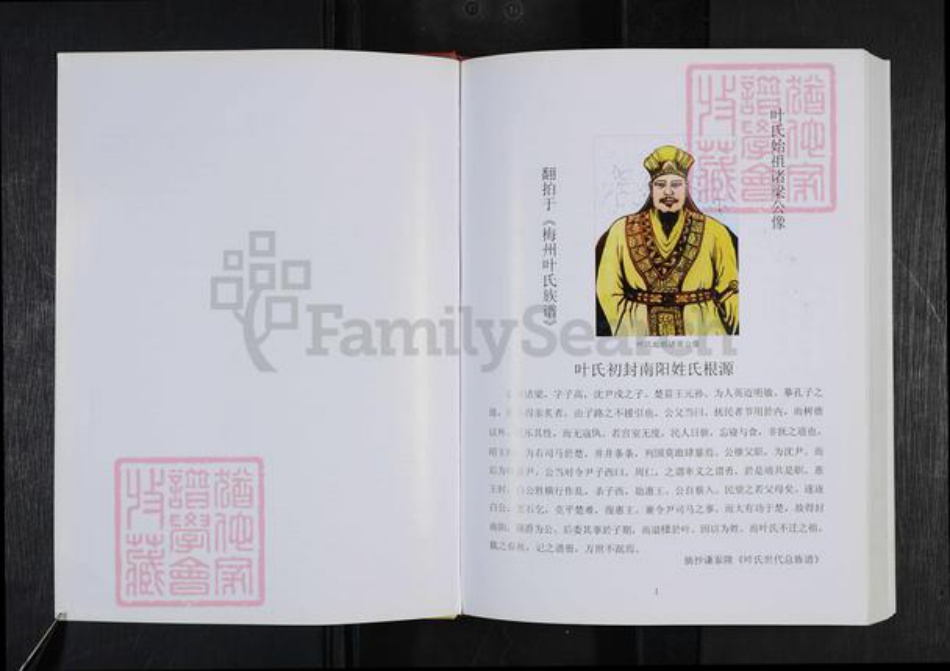 广东省韶关市新丰县叶氏族谱-叶氏源流录 不分卷.pdf电子版插图3