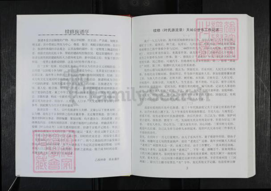 广东省韶关市新丰县叶氏族谱-叶氏源流录 不分卷.pdf电子版插图4