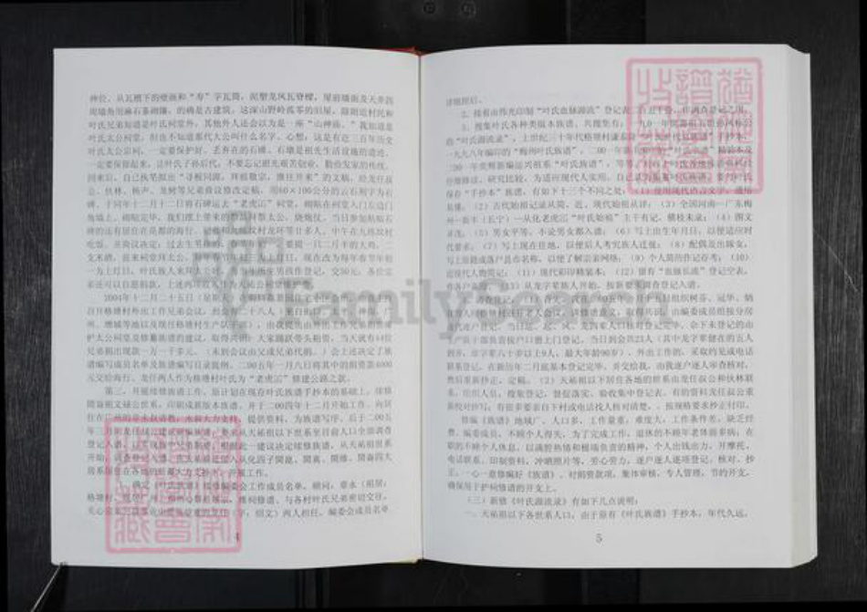 广东省韶关市新丰县叶氏族谱-叶氏源流录 不分卷.pdf电子版插图5