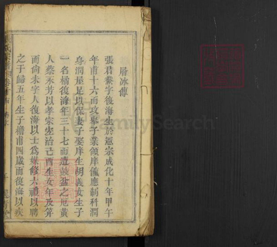 湖北省黄冈市罗田县张氏族谱-张氏宗谱.pdf电子版插图1