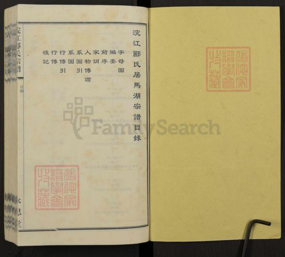 浙江省绍兴诸暨市诸暨郦氏族谱-浣江郦氏宗谱（秉彝房居马湖）.pdf电子版插图1