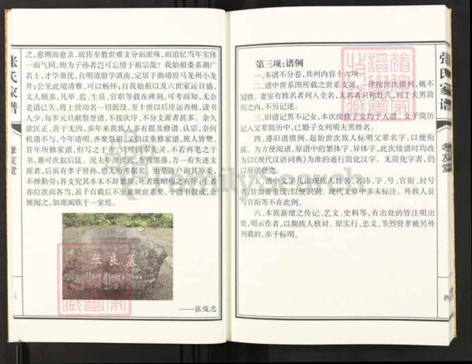 云南省曲靖市马龙区张;张氏孝友堂族谱-张氏家谱.pdf电子版插图5 云南省曲靖市马龙区张;张氏孝友堂族谱-张氏家谱.pdf电子版插图5