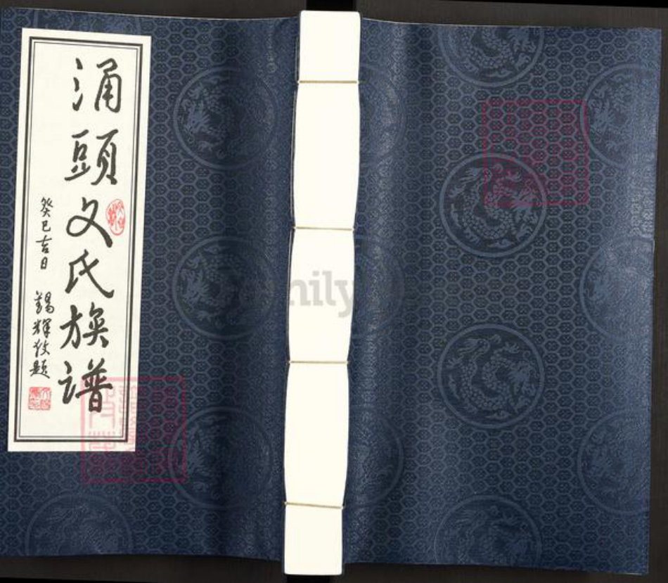 广东省东莞市长安镇文氏族谱-涌头文氏族谱.pdf电子版