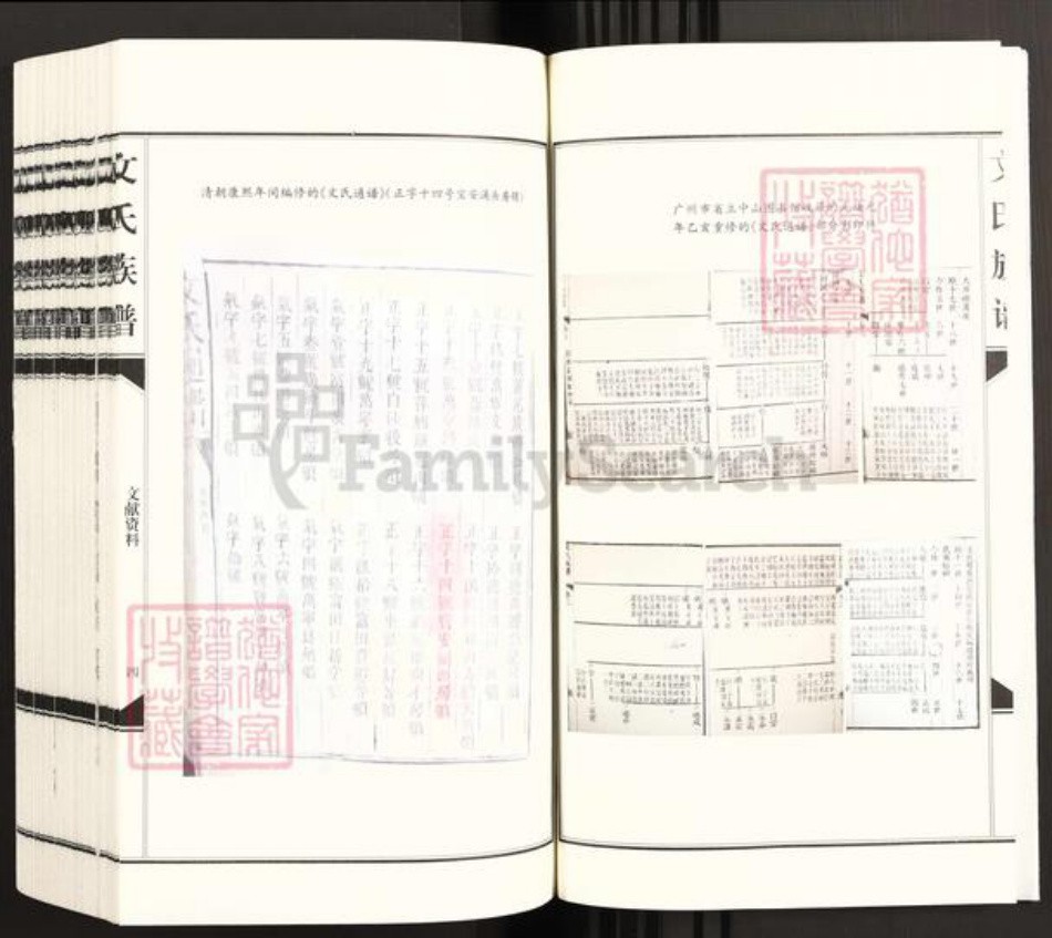 广东省东莞市长安镇文氏族谱-涌头文氏族谱.pdf电子版插图5 广东省东莞市长安镇文氏族谱-涌头文氏族谱.pdf电子版插图5