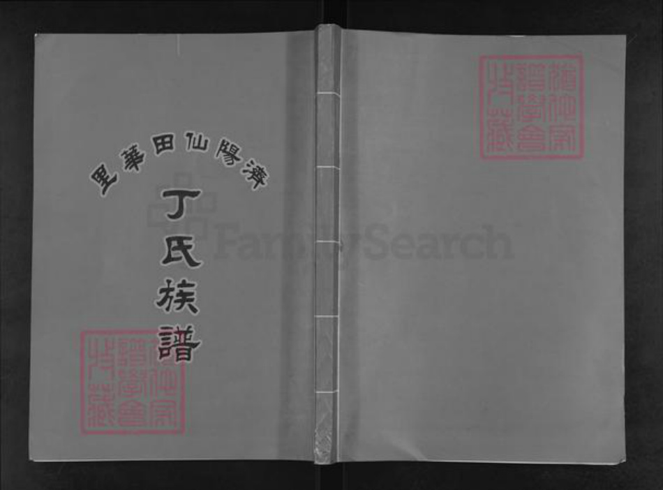 广东省汕头市濠江区丁氏族谱-济阳仙田华里.丁氏族谱.pdf电子版