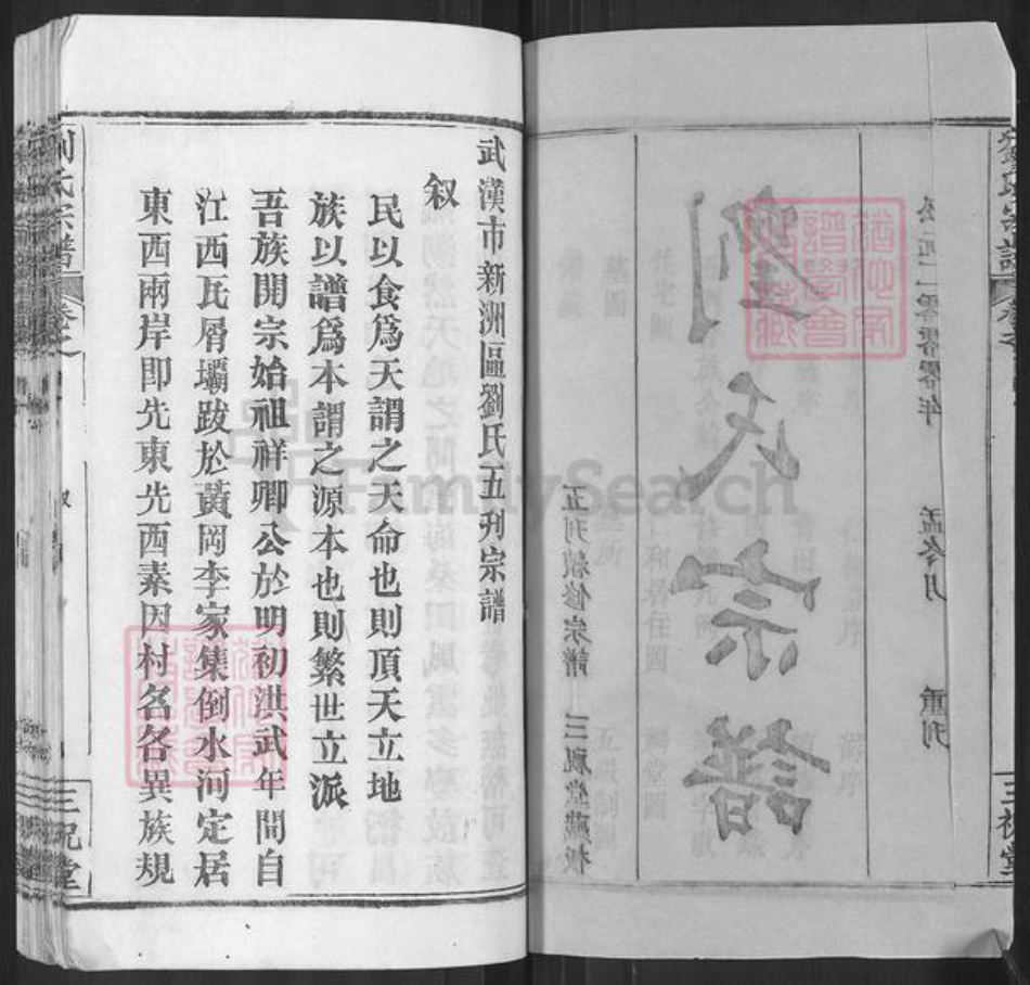 湖北省武汉市新洲区刘氏三祝堂族谱-刘氏宗谱.pdf电子版插图2