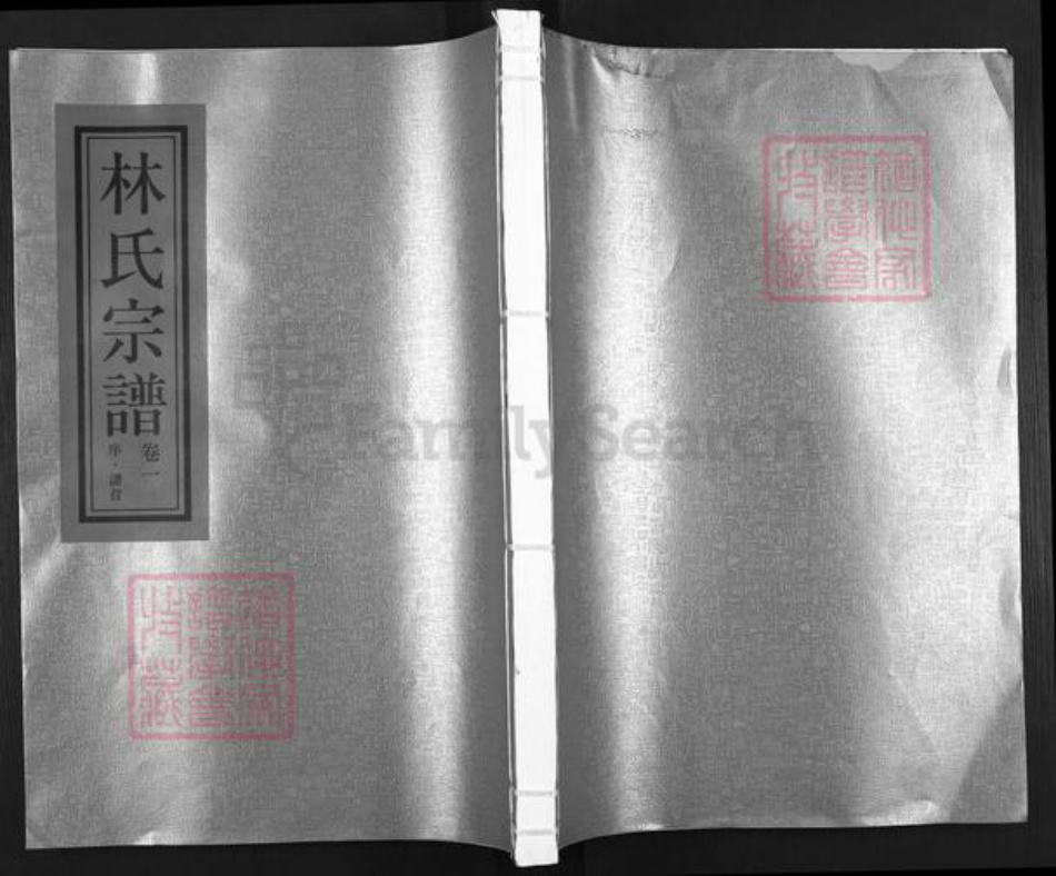 浙江省温州市平阳县浙江省温州市平阳县林氏族谱-济南郡林氏宗谱.pdf电子版