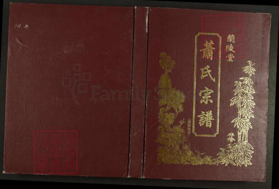 江苏省盐城市建湖县萧氏兰陵堂族谱-萧氏宗谱.pdf电子版