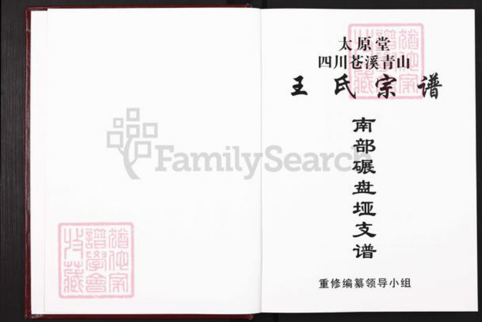 四川省南充市南部县雄狮乡王氏太原堂族谱-王氏宗谱.南部碾盘垭支谱.pdf电子版插图1