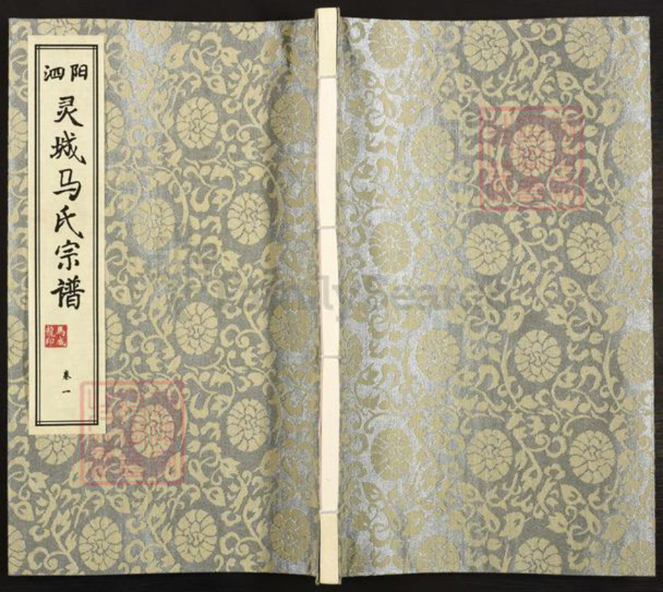 江苏省宿迁市泗阳县新袁镇湖南省常德市桃源县马；马氏伏波堂族谱-泗阳灵城马氏宗谱.pdf电子版