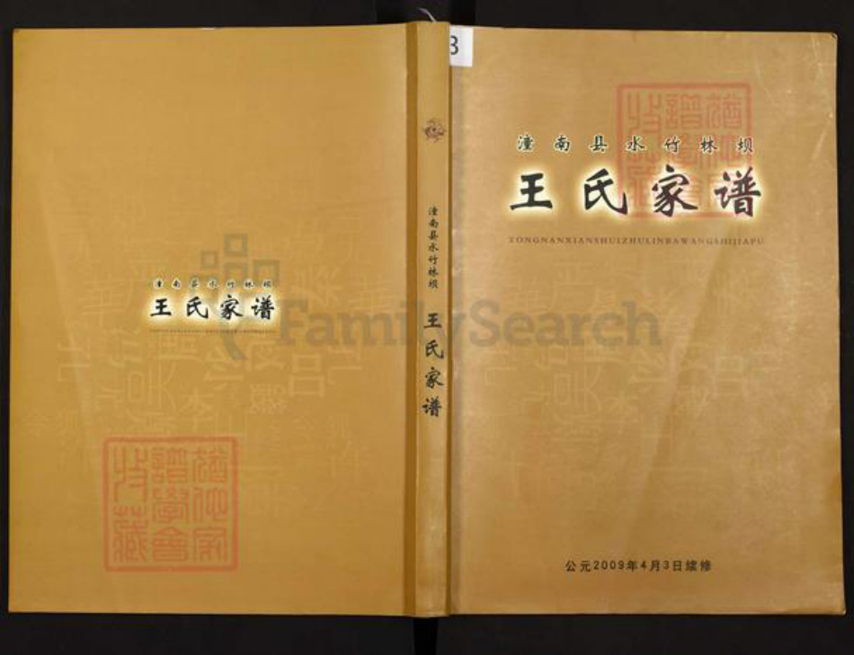 重庆市潼南区王氏三槐堂族谱-王氏家谱.pdf电子版