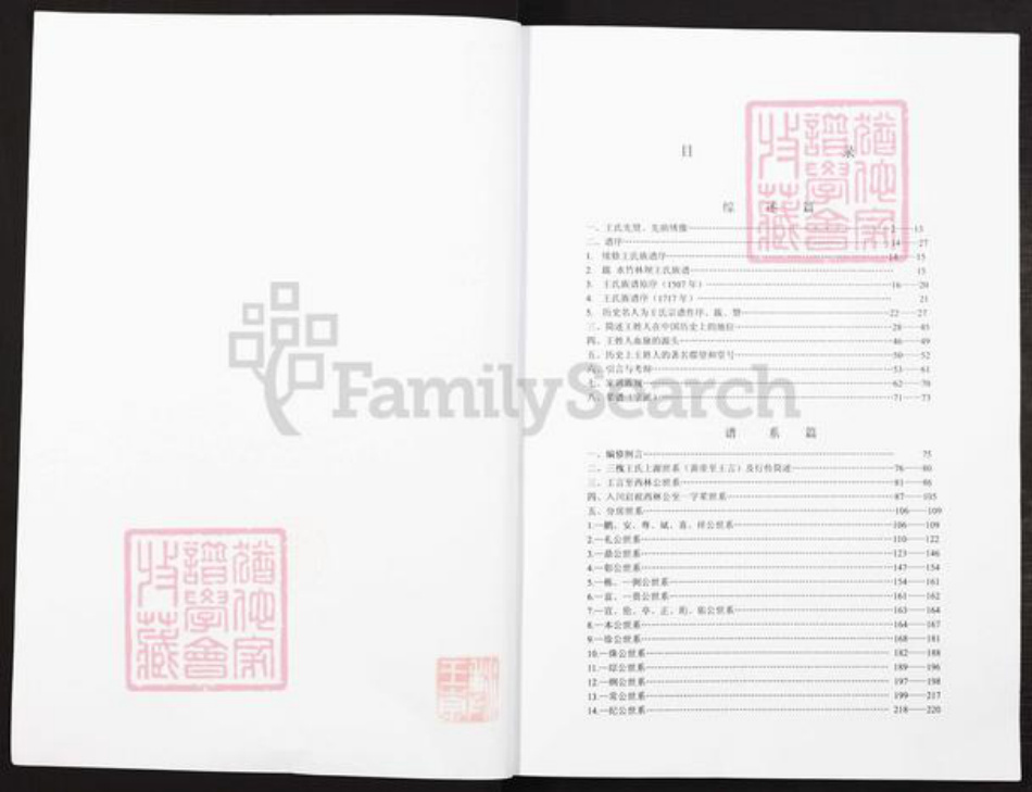 重庆市潼南区王氏三槐堂族谱-王氏家谱.pdf电子版插图2