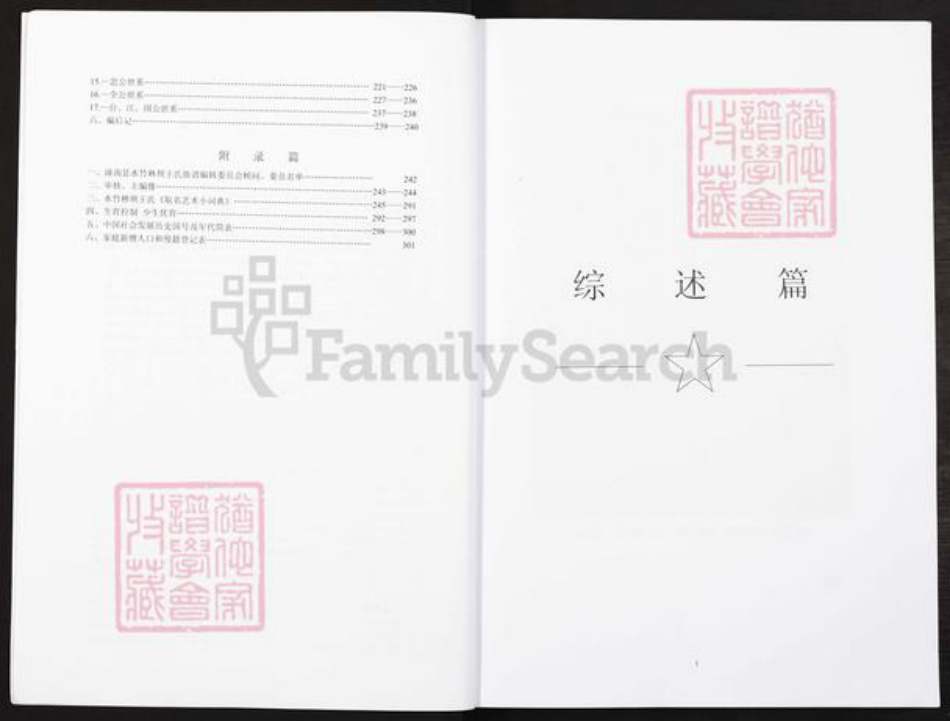 重庆市潼南区王氏三槐堂族谱-王氏家谱.pdf电子版插图3