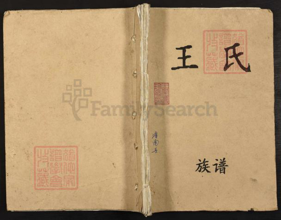 四川省遂宁市射洪市沱牌镇王氏族谱-王氏族谱.pdf电子版