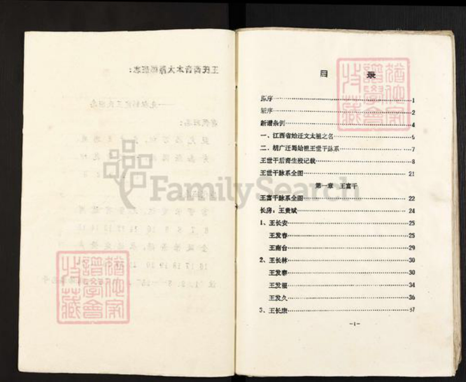 四川省遂宁市射洪市沱牌镇王氏族谱-王氏族谱.pdf电子版插图4 四川省遂宁市射洪市沱牌镇王氏族谱-王氏族谱.pdf电子版插图4