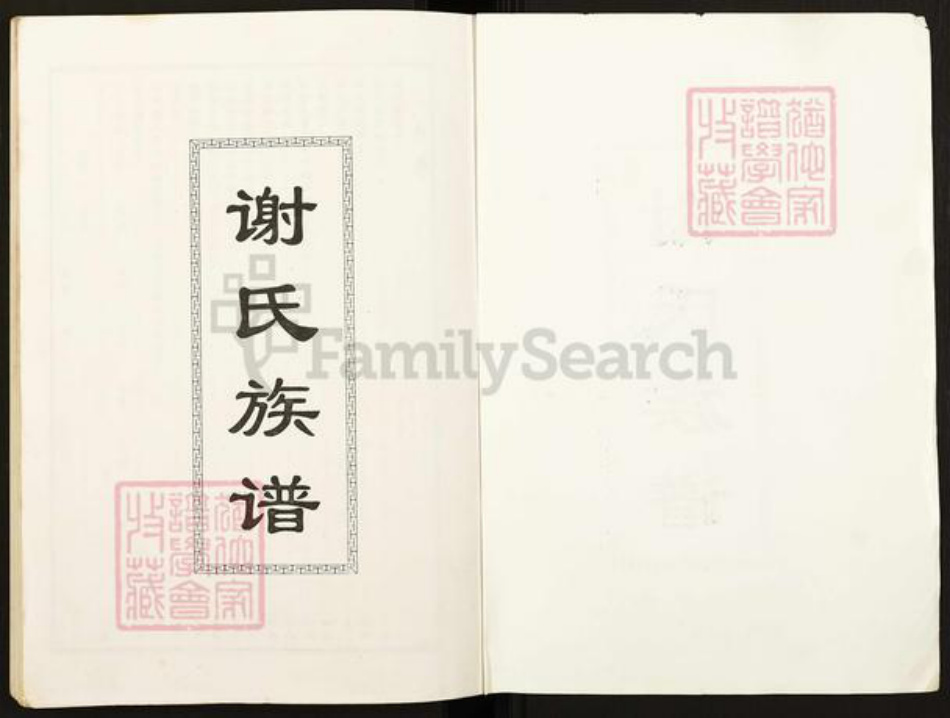 四川省广安市四川省成都市都江堰市龙池镇谢；谢氏族谱-谢氏族谱.pdf电子版插图1