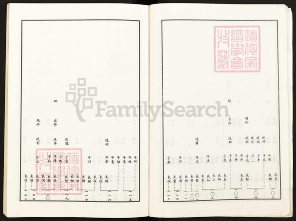 四川省广安市四川省成都市都江堰市龙池镇谢；谢氏族谱-谢氏族谱.pdf电子版插图5