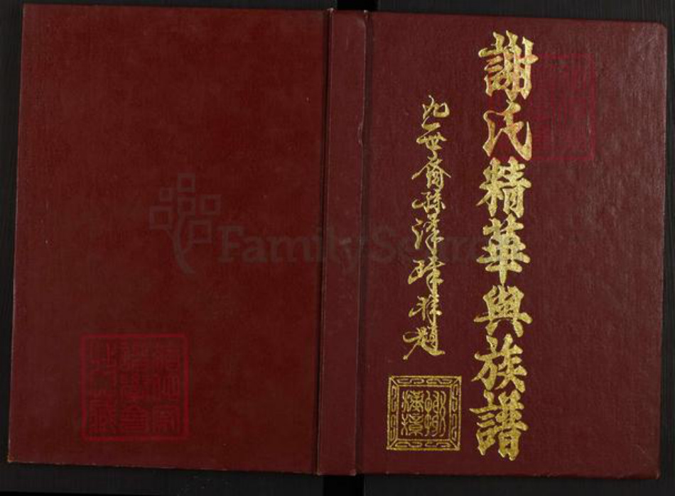 广东省梅州市兴宁市水口镇广东省梅州市谢；谢氏宝树堂族谱-谢氏精华与族谱.pdf电子版
