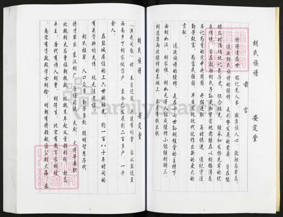 江苏省盐城市亭湖区胡氏安定堂族谱-胡氏家谱.pdf电子版插图4