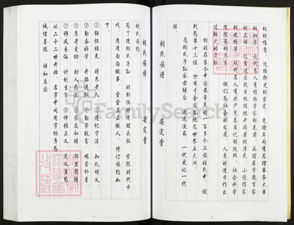 江苏省盐城市亭湖区胡氏安定堂族谱-胡氏家谱.pdf电子版插图5