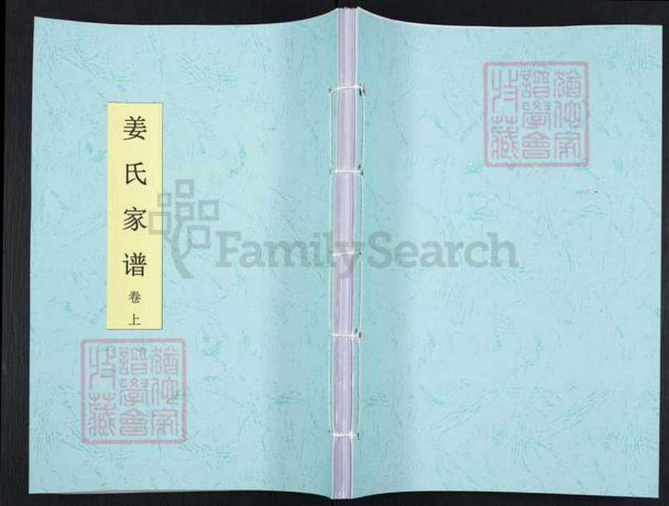 江苏省徐州市沛县杨屯镇姜氏渭水堂族谱-姜氏家谱.pdf电子版