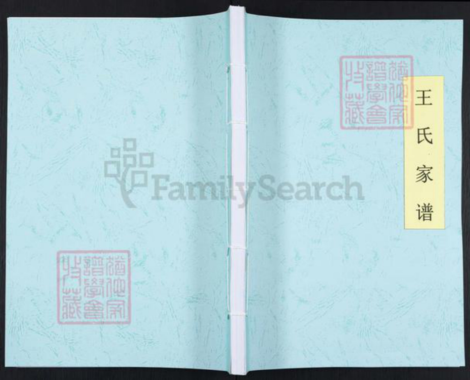 河南省南阳市内乡县大桥乡王氏族谱-王氏家谱.pdf电子版