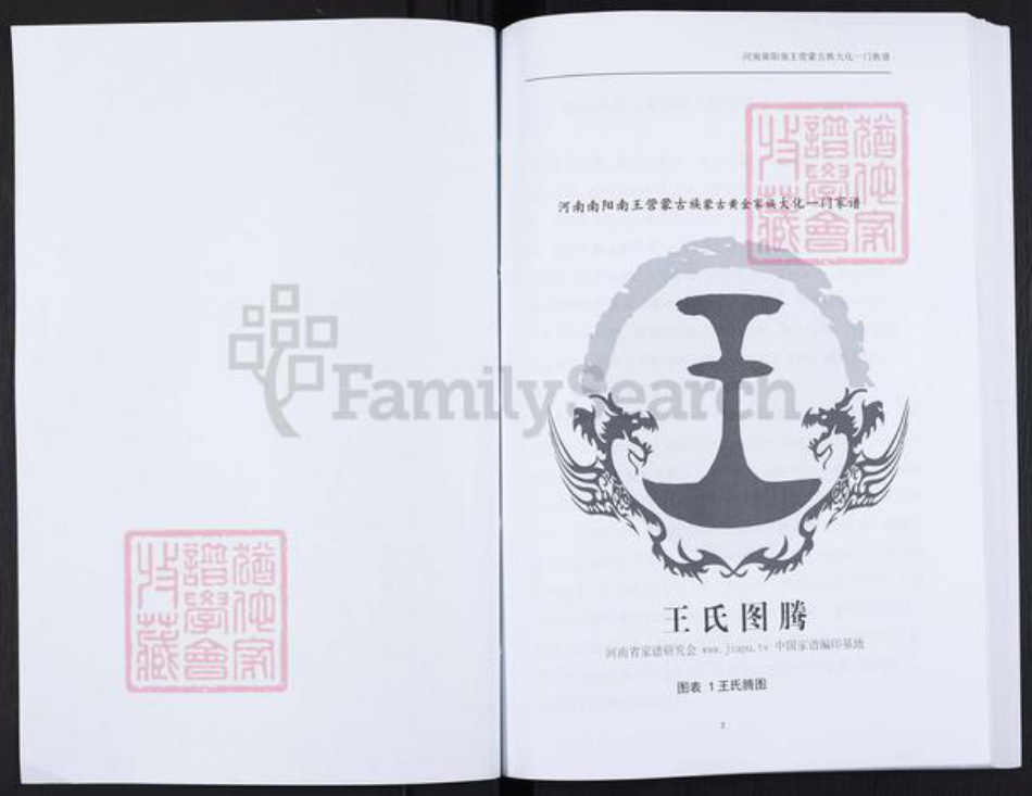 河南省南阳市内乡县大桥乡王氏族谱-王氏家谱.pdf电子版插图2