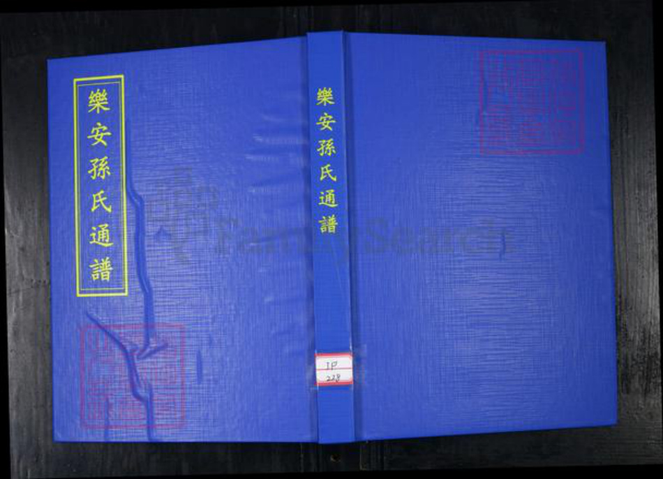 山东省滨州市惠民县孙氏族谱-乐安孙氏通谱.pdf电子版