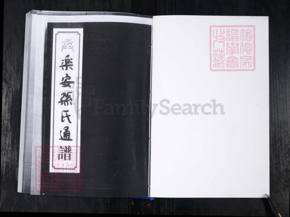 山东省滨州市惠民县孙氏族谱-乐安孙氏通谱.pdf电子版插图1