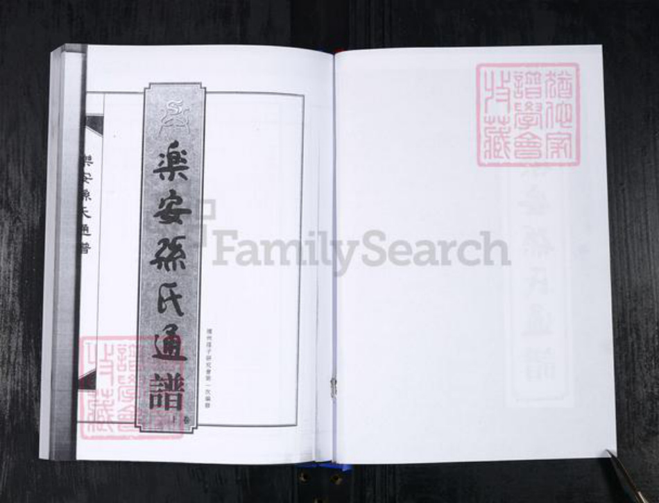 山东省滨州市惠民县孙氏族谱-乐安孙氏通谱.pdf电子版插图2