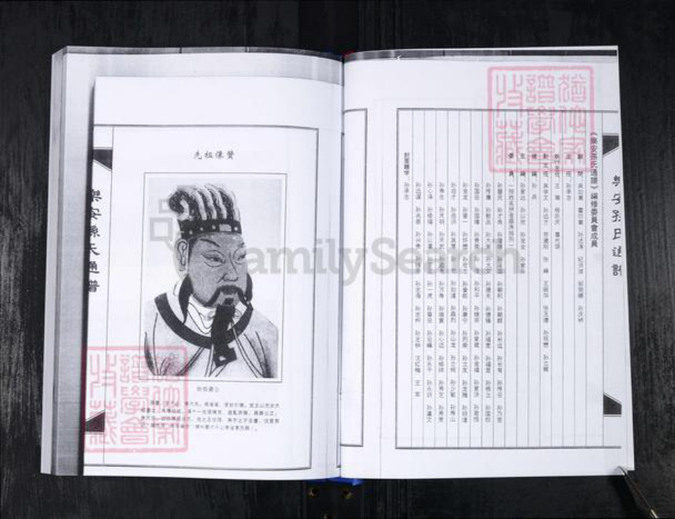 山东省滨州市惠民县孙氏族谱-乐安孙氏通谱.pdf电子版插图3