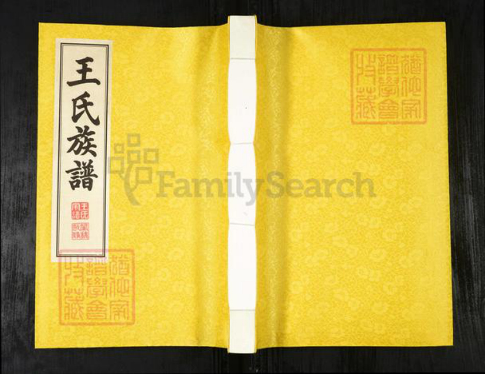 山东省青岛市平度市南村镇王氏五福堂族谱-王氏族谱.pdf电子版