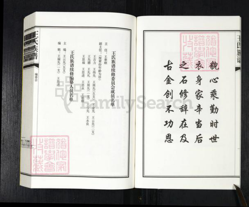 山东省青岛市平度市南村镇王氏五福堂族谱-王氏族谱.pdf电子版插图4