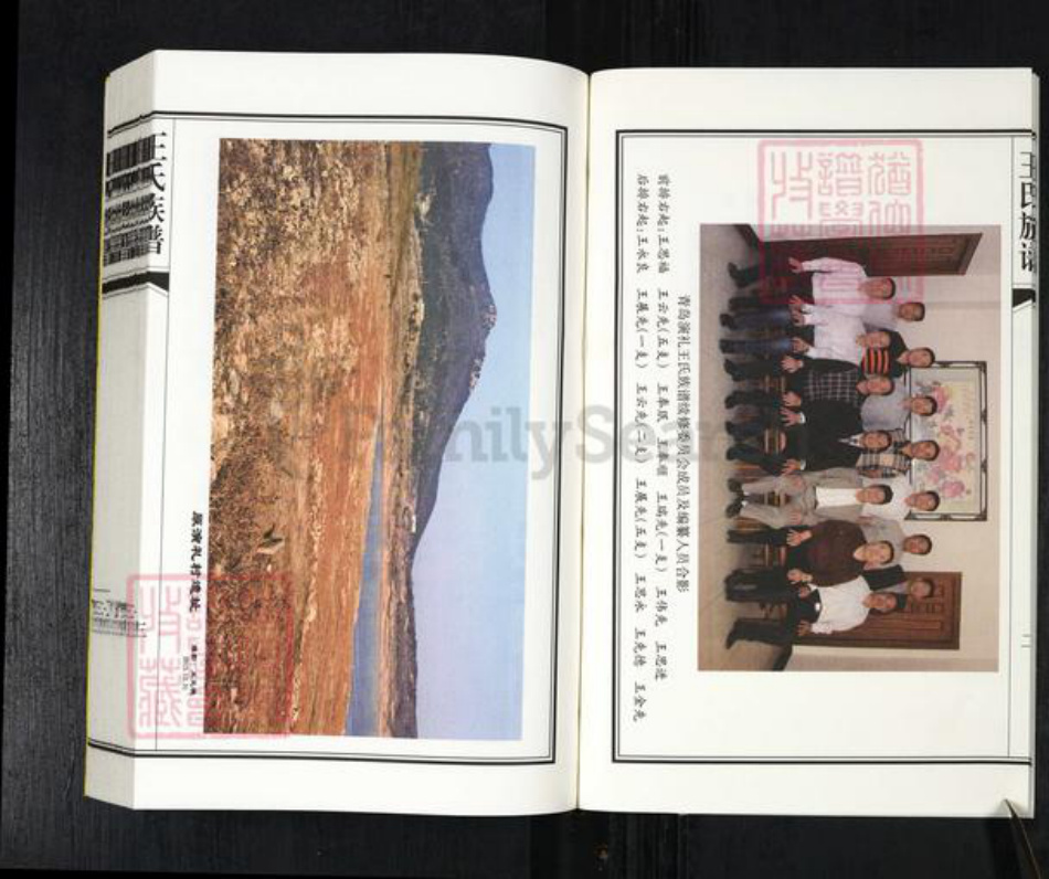 山东省青岛市平度市南村镇王氏五福堂族谱-王氏族谱.pdf电子版插图5