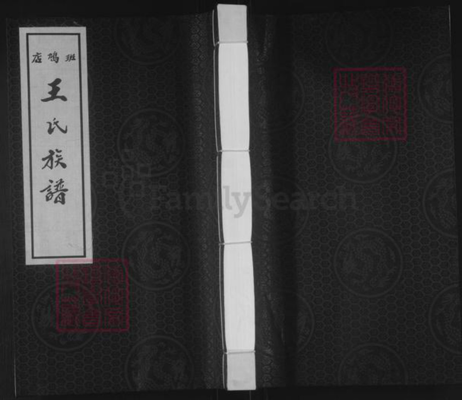 山东省泰安市东平县王氏族谱-斑鸠店王氏族谱.pdf电子版