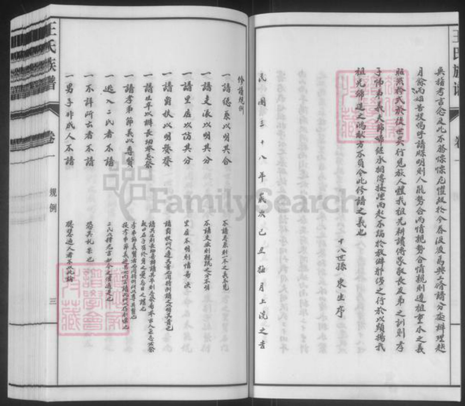 山东省泰安市东平县王氏族谱-斑鸠店王氏族谱.pdf电子版插图3