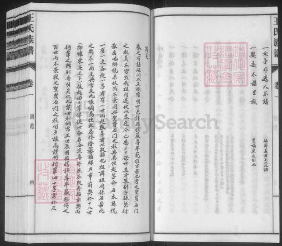 山东省泰安市东平县王氏族谱-斑鸠店王氏族谱.pdf电子版插图4