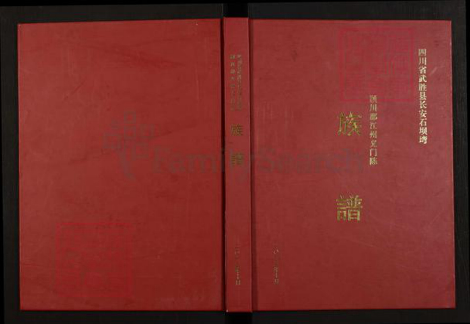 四川省广安市武胜县陈氏族谱-颍川郡江州义门陈族谱.pdf电子版