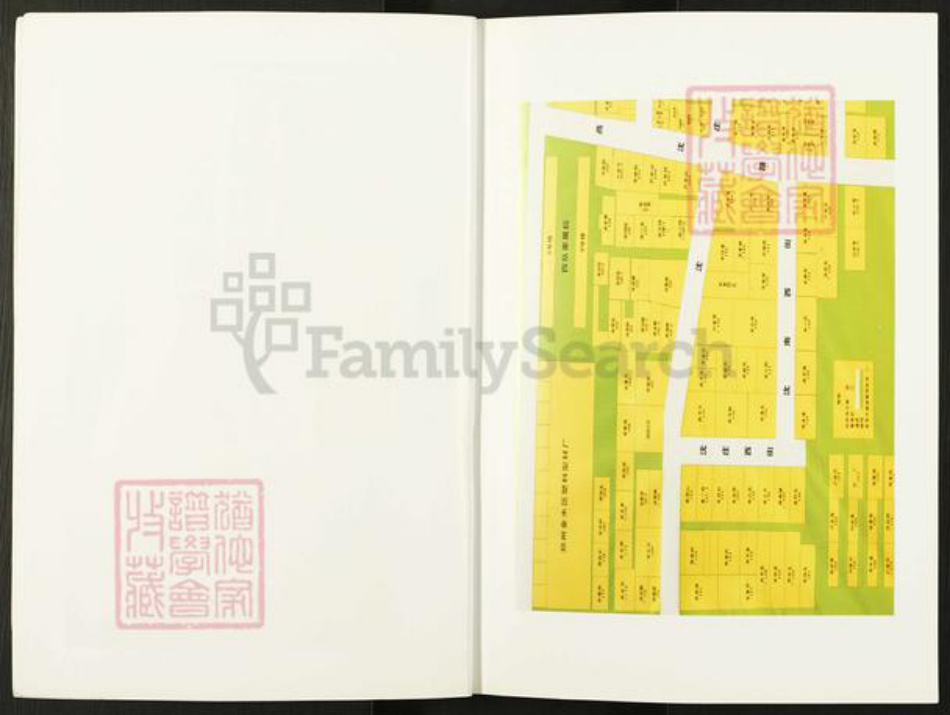 河南省郑州市宋氏族谱-沈庄村志.家谱[不分卷].pdf电子版插图2