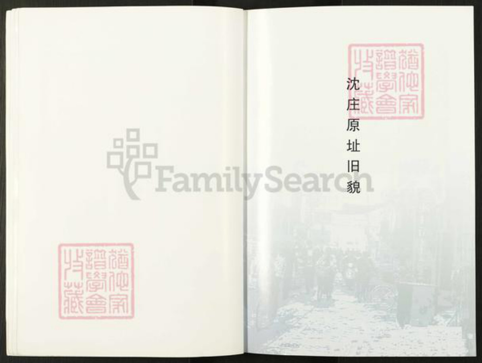 河南省郑州市宋氏族谱-沈庄村志.家谱[不分卷].pdf电子版插图5