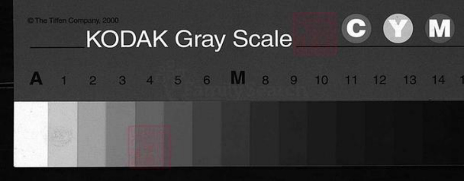 福建省南平市崇安县周氏族谱-周氏宗谱 [残卷].pdf电子版