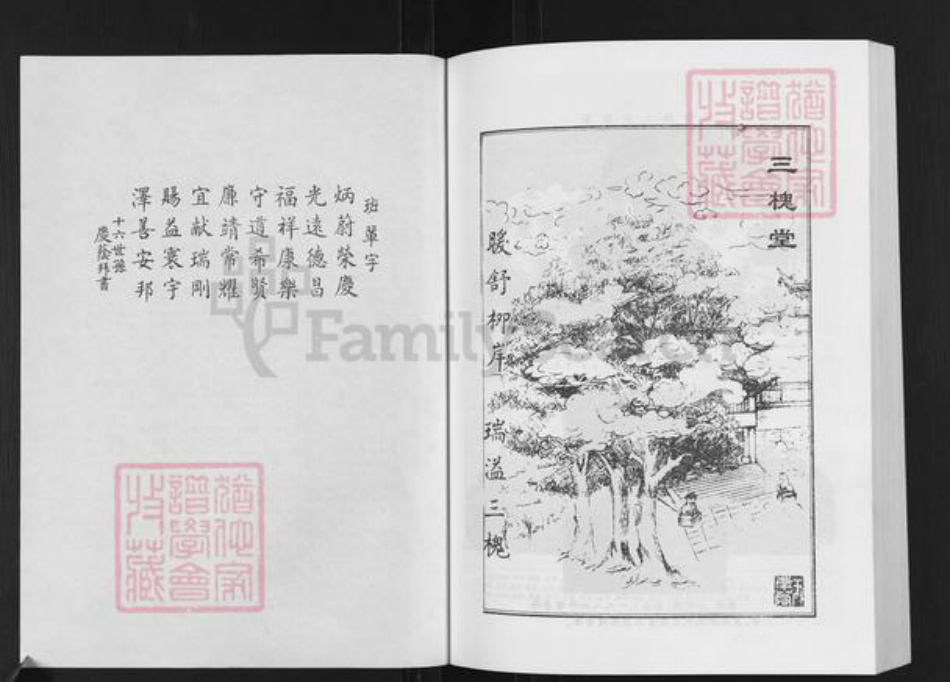 江苏省徐州市新沂市王氏三槐堂族谱-王氏族谱.pdf电子版插图3