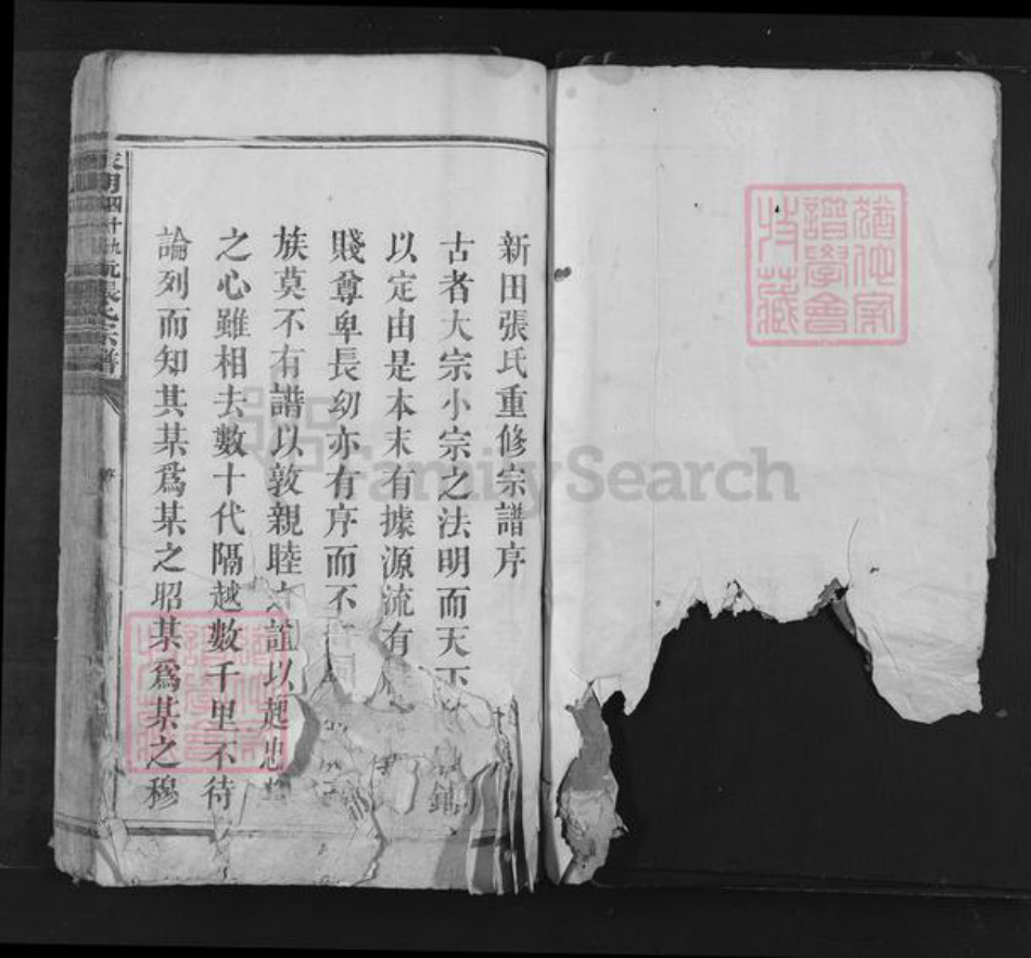 湖南省永州市江永县张氏族谱-永明四十九都新田坑张氏宗谱.pdf电子版插图1