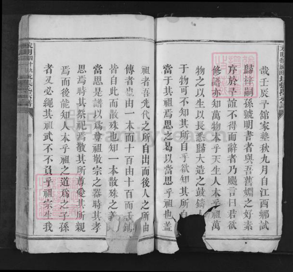 湖南省永州市江永县张氏族谱-永明四十九都新田坑张氏宗谱.pdf电子版插图3