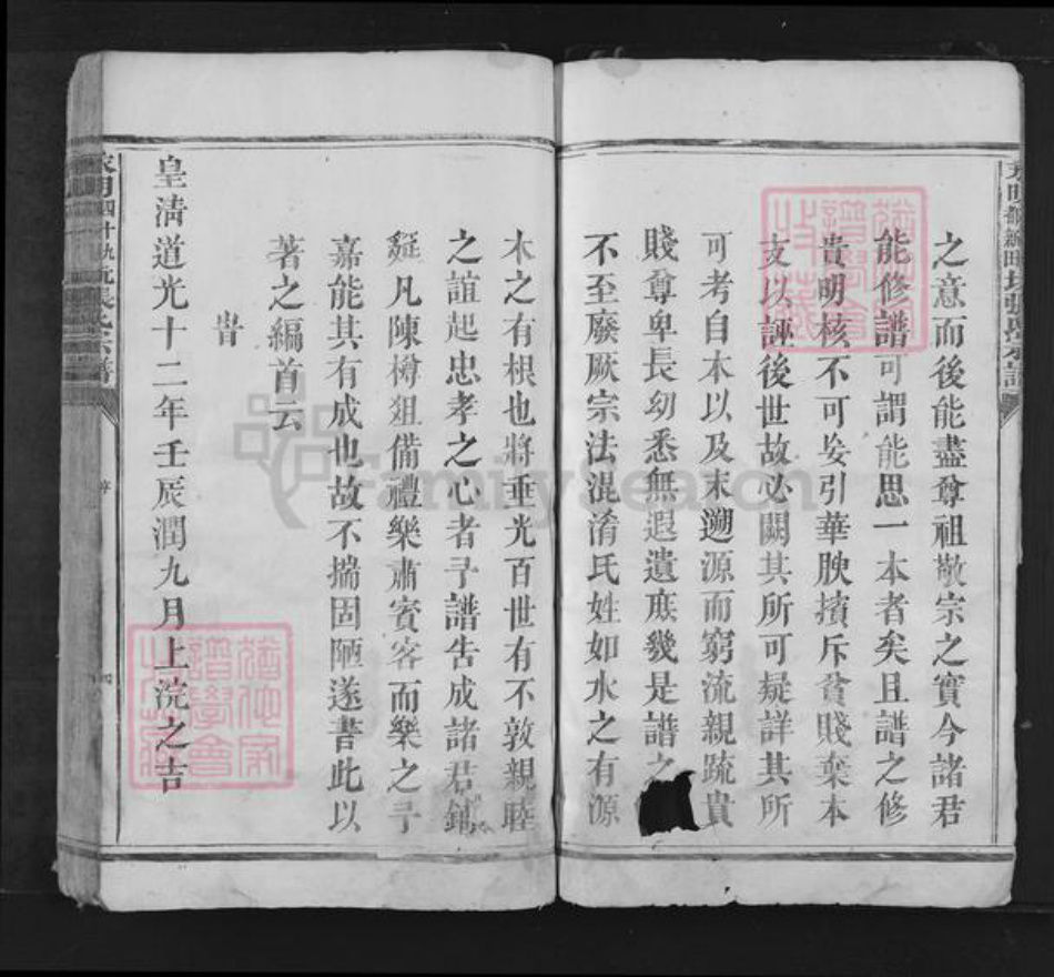 湖南省永州市江永县张氏族谱-永明四十九都新田坑张氏宗谱.pdf电子版插图4