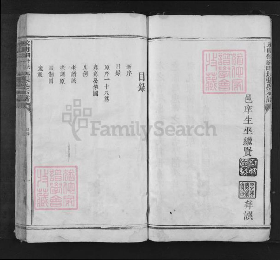 湖南省永州市江永县张氏族谱-永明四十九都新田坑张氏宗谱.pdf电子版插图5