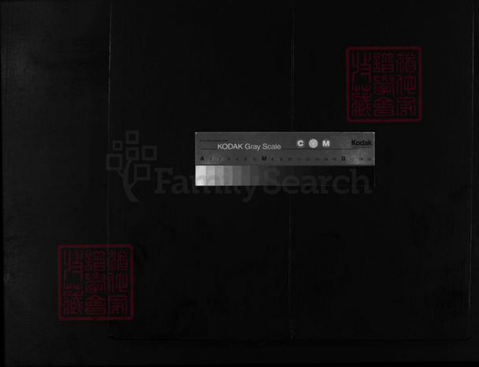 浙江省童；胡氏族谱-安定郡铁炉头胡氏宗谱 [1卷].pdf电子版