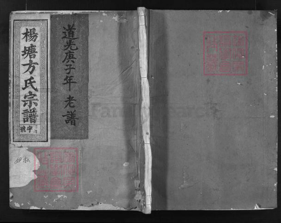 浙江省方氏族谱-杨塘方氏宗谱 [残卷1卷].pdf电子版插图1